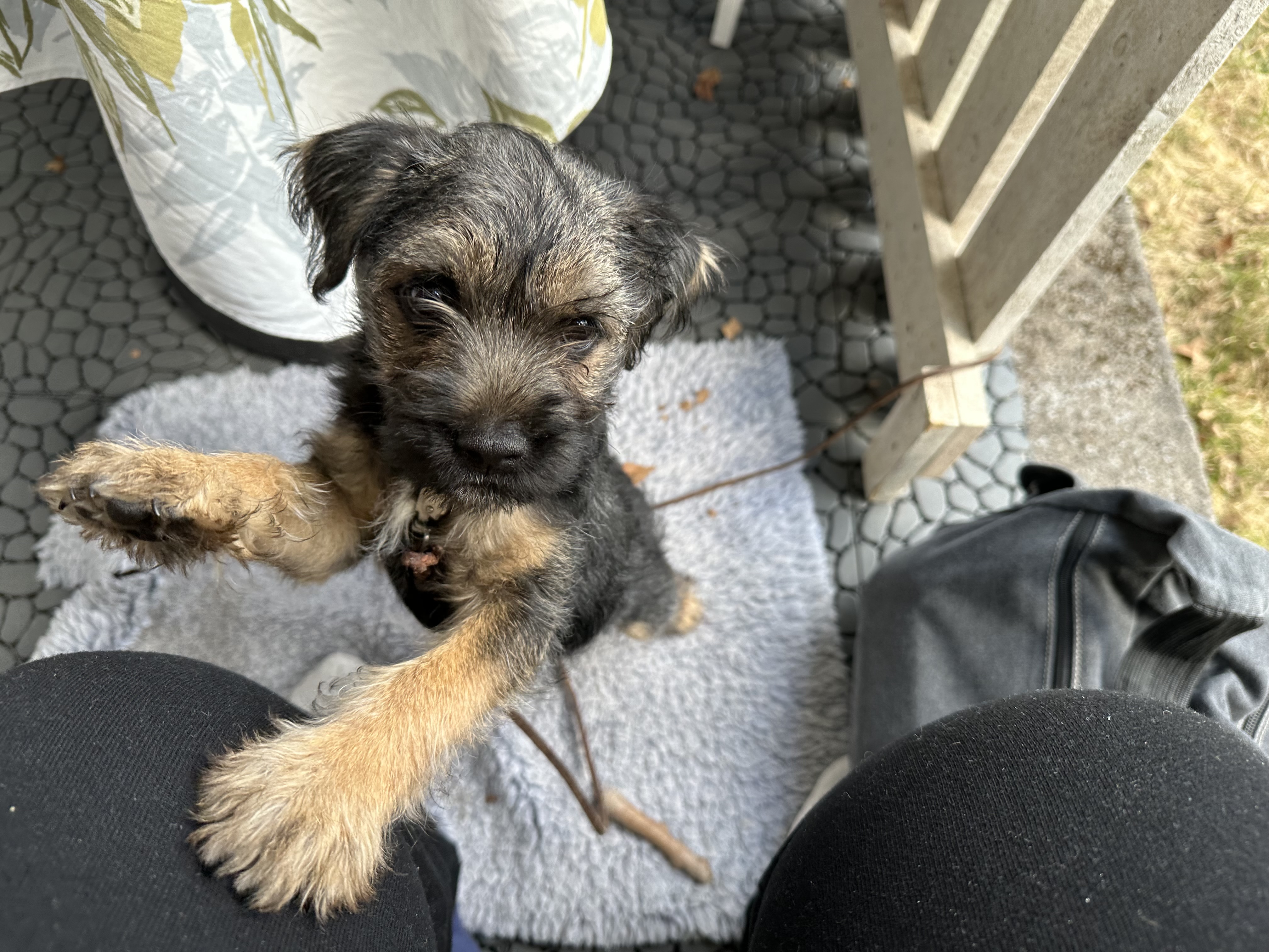 IMG_0861.jpeg