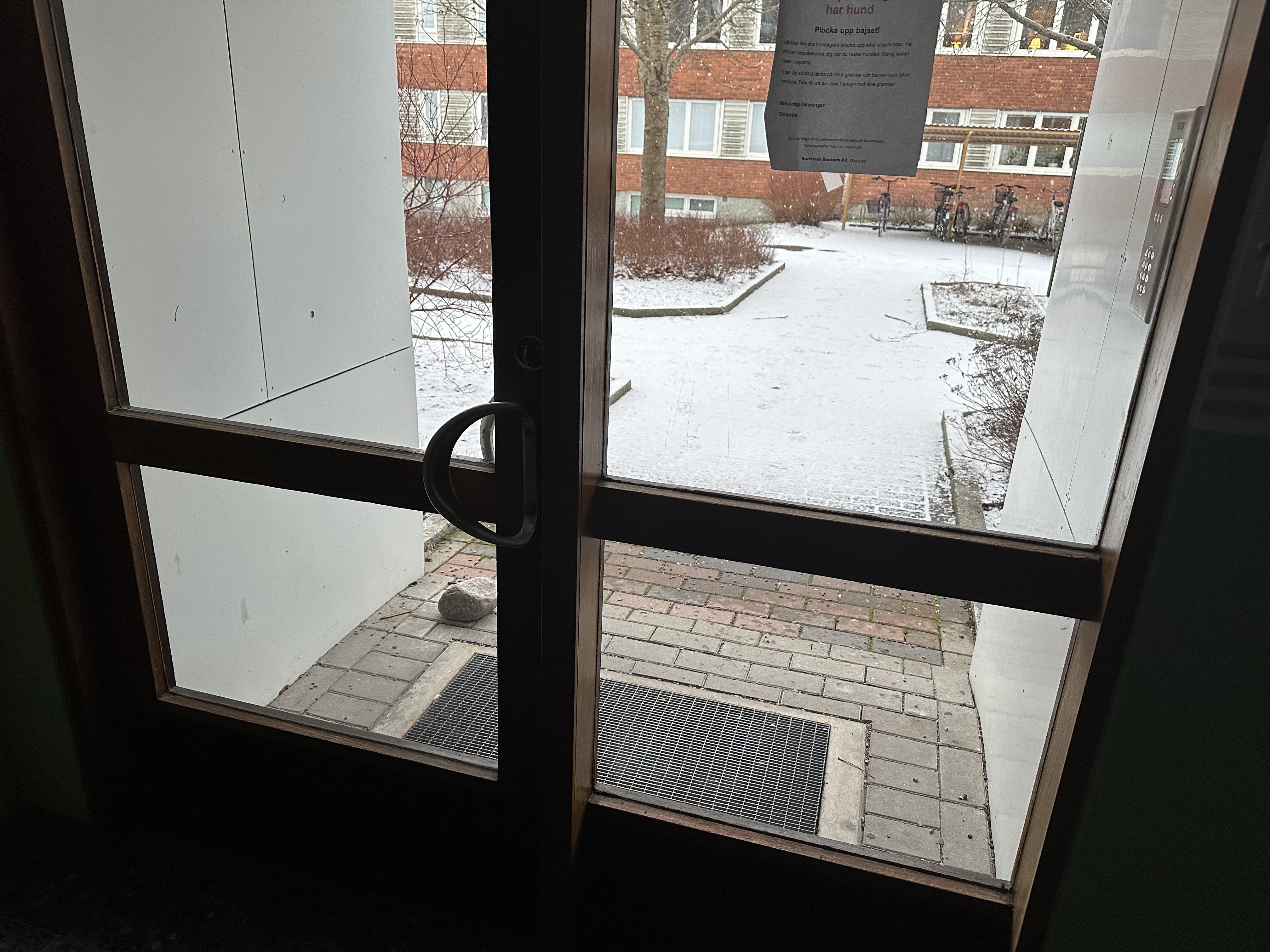 IMG_4151.jpeg