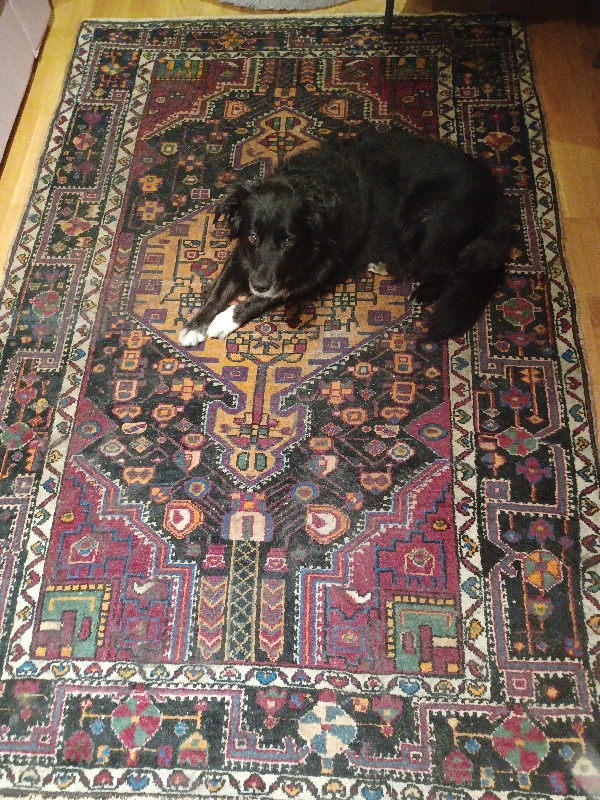 20240911_180149.jpg